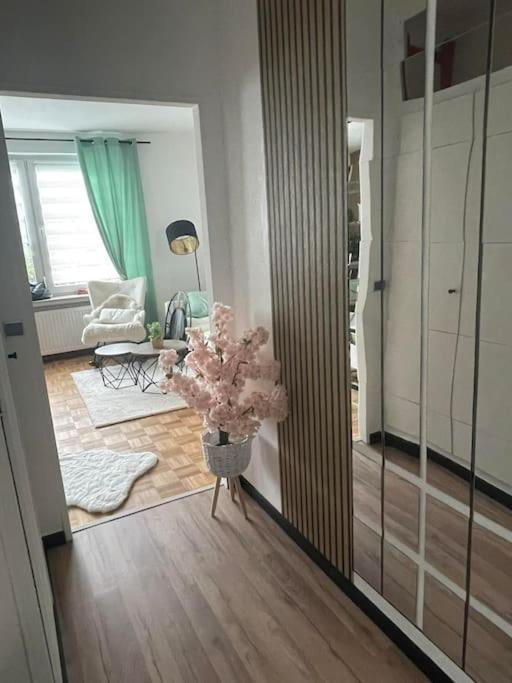 Wilhelmshoehe Alle Kassel Dış mekan fotoğraf