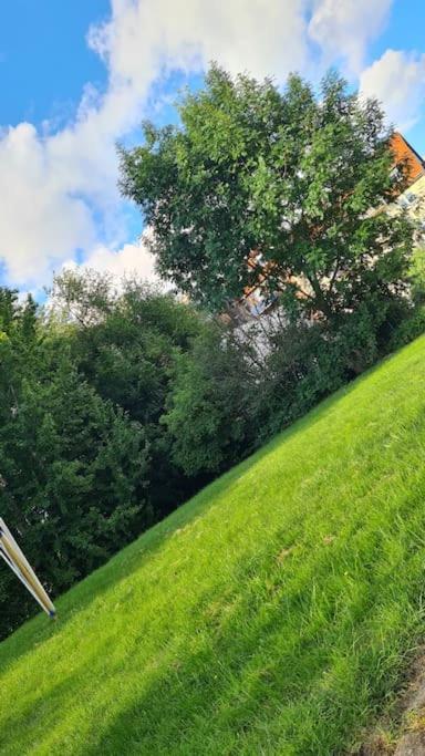Wilhelmshoehe Alle Kassel Dış mekan fotoğraf